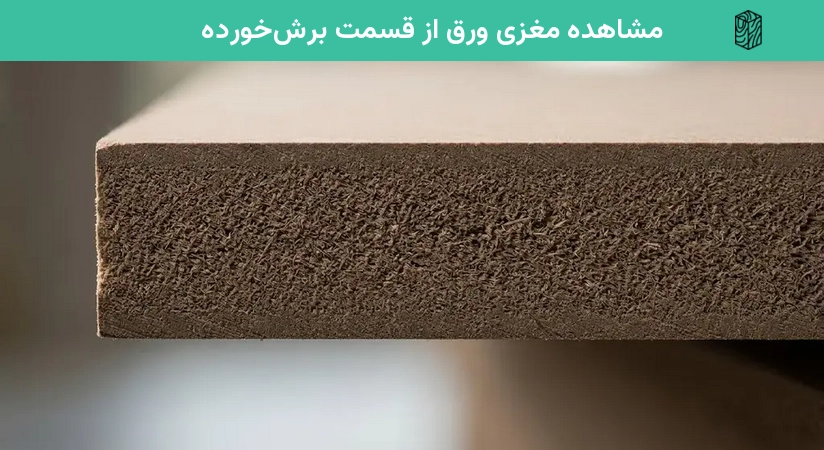 مشاهده مغزی ورق از قسمت برش‌خورده